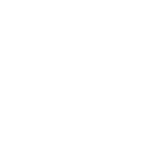 BFGHS Logo_WHT